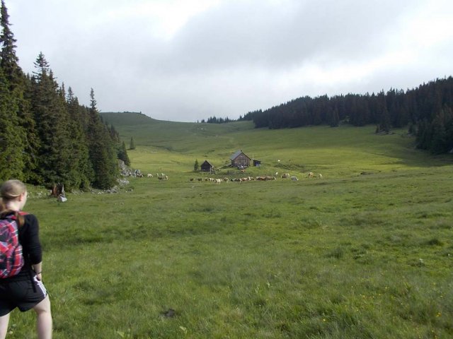 Mariazell 2013 148